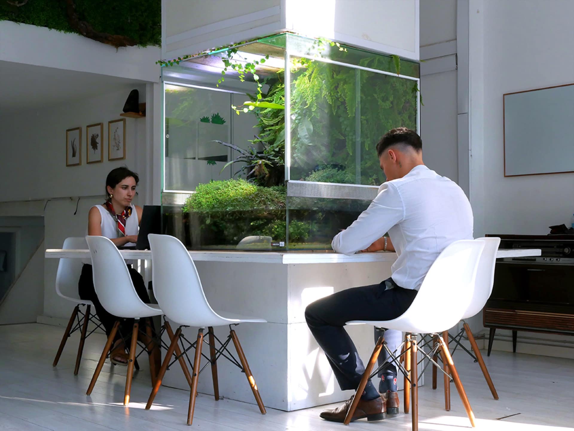 Duas pessoas conversam sentadas junto a um terrário-divisória embutido no canto de um escritório