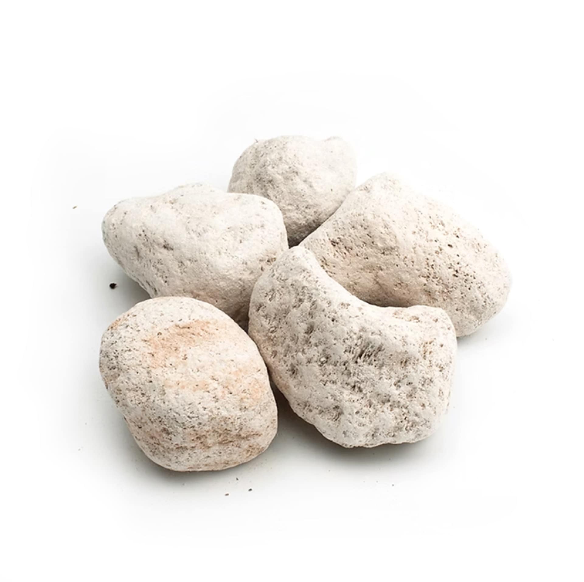 Cinco pedras de pedra-pomes claras e porosas sobre fundo branco