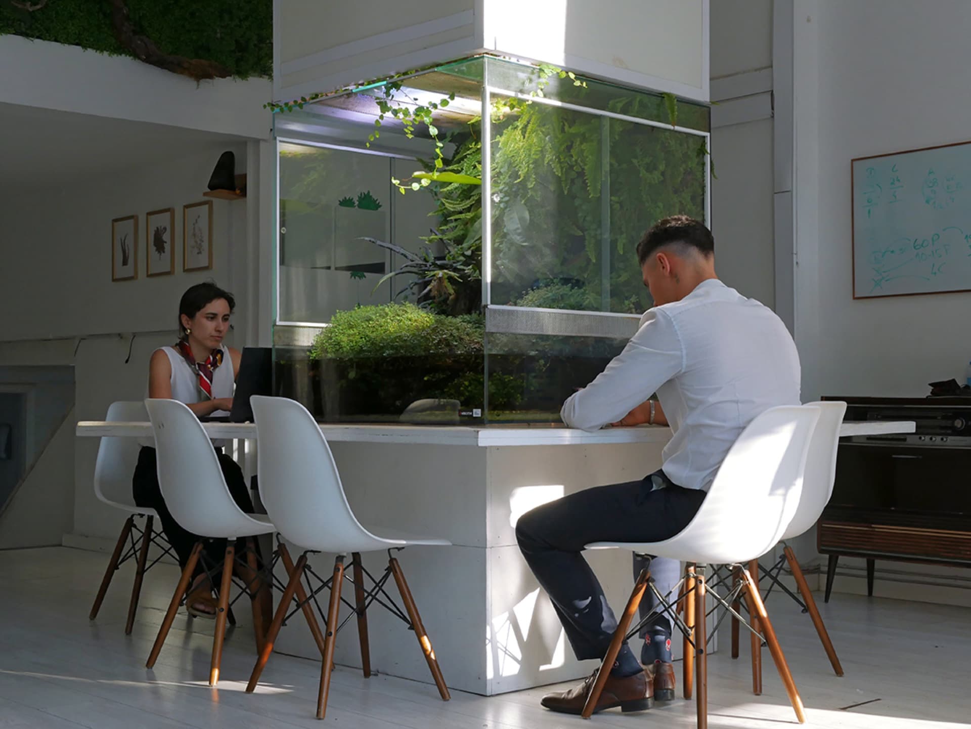Aquário plantado de inspiração natural — camadas de verde de primeiro plano a fundo