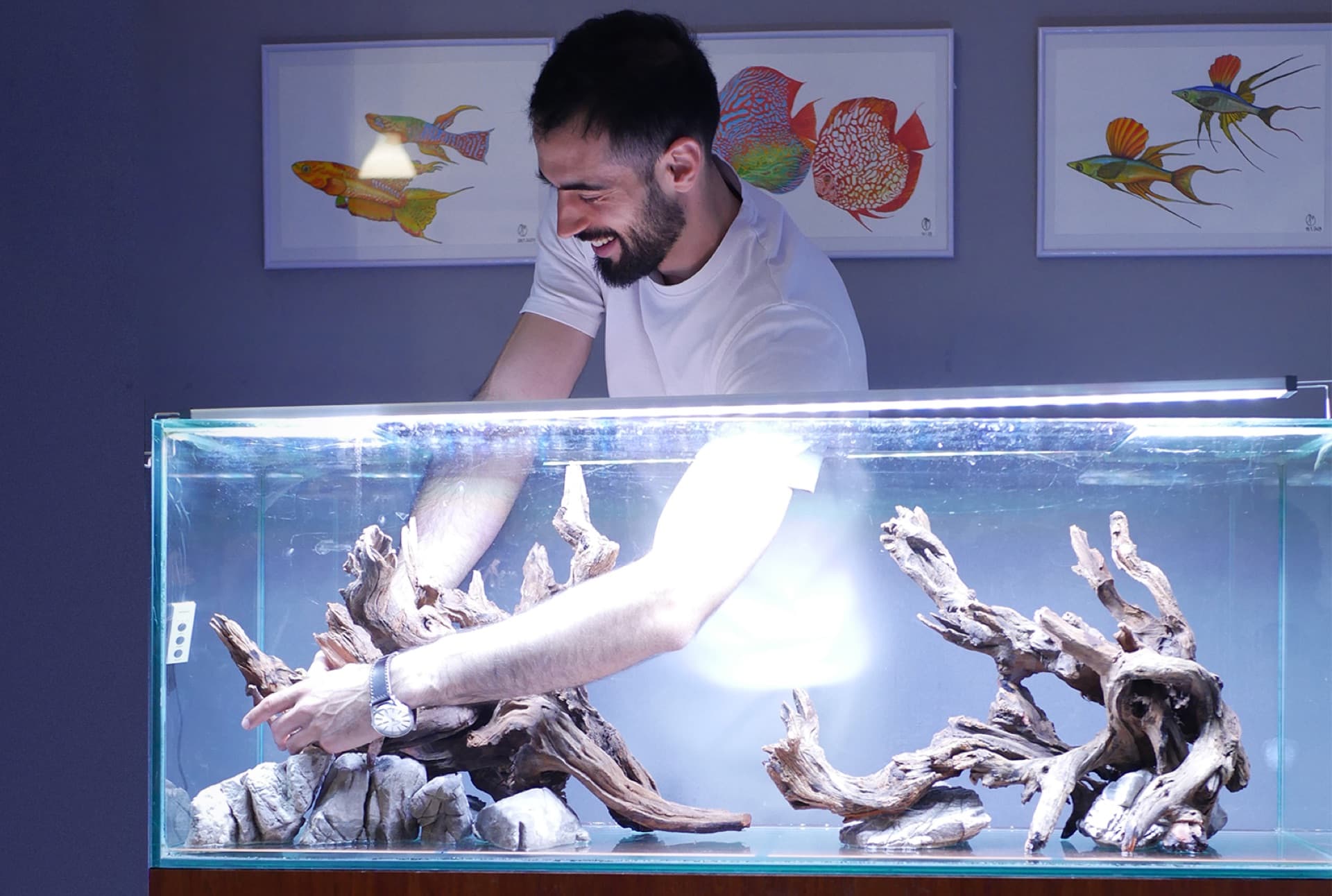 Grupo num workshop de aquascaping, mãos na água
