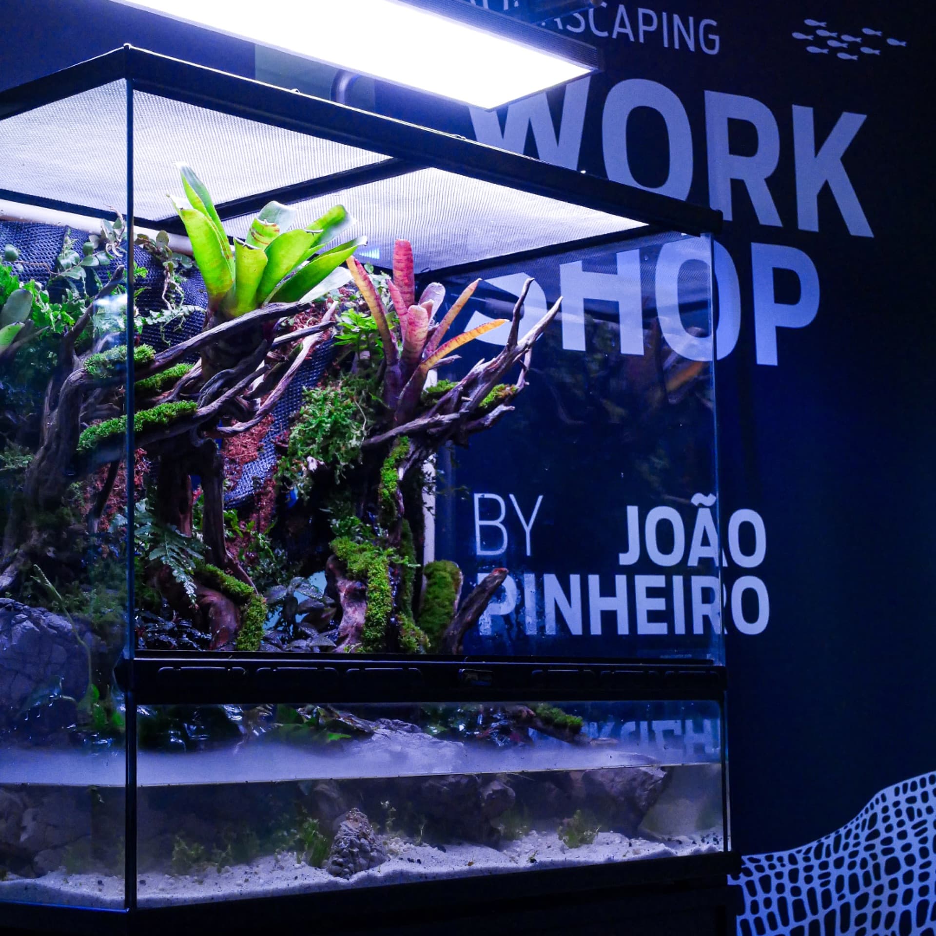 Participantes de workshop a compor hardscape