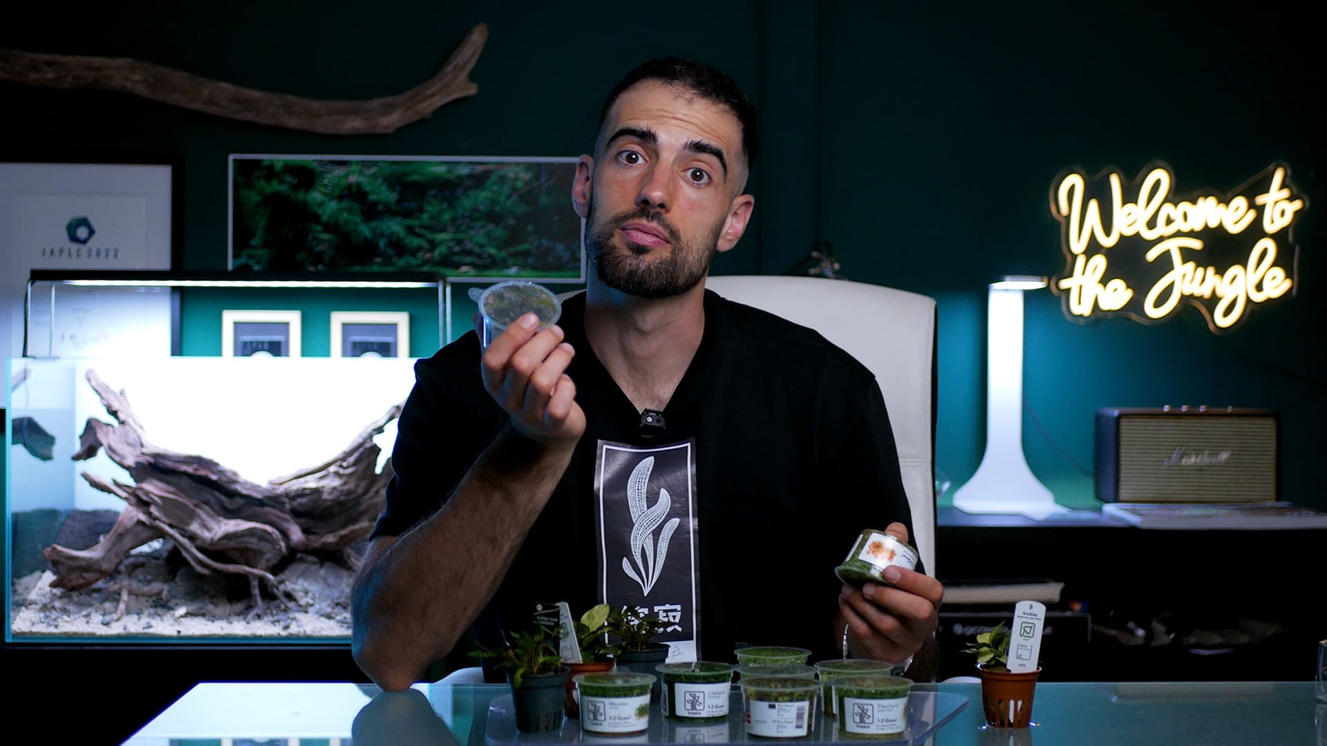 Thumbnail do módulo de introdução ao curso de aquascaping
