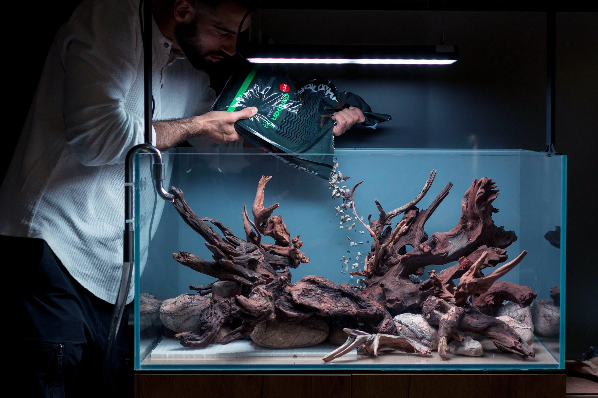 Aquascape recém-plantado com troncos ramificados sob dois focos pendentes