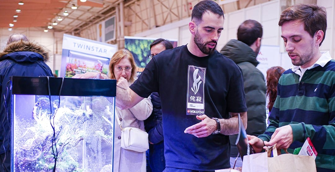 João Pinheiro sorri enquanto posiciona troncos de driftwood num aquário com água